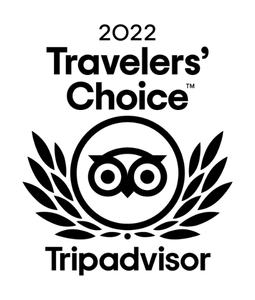 Up Hotel TripAdvisor Traveler's Choice Award 2022