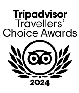 Up Hotel TripAdvisor Traveler's Choice Award 2024