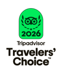 Up Hotel TripAdvisor Traveler's Choice Award 2026