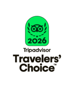 Up Hotel TripAdvisor Traveler's Choice Award 2026